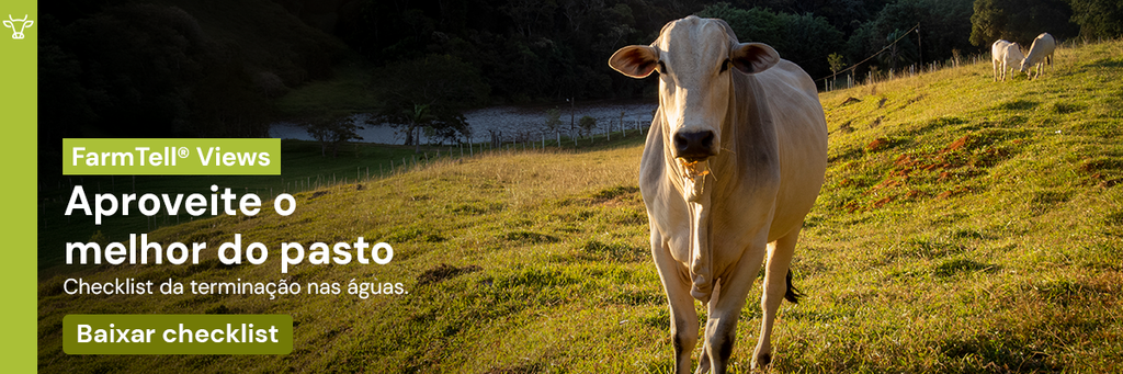 Banner: Checklist de terminação nas águas