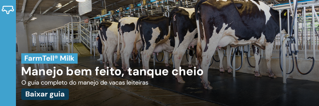 E-book Manejo de vacas leiteiras: guia completo para melhorar o manejo do rebanho