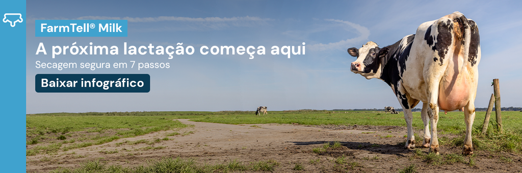 Banner: Como secar sua vaca de forma segura em 7 passos