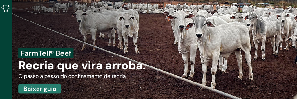 Banner do Guia Rápido de Confinamento de Recria
