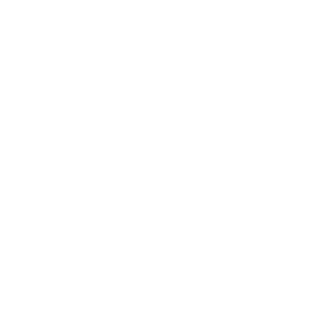icon-solucao-prodap-views-prime-1