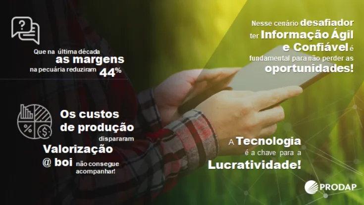 pecuária de corte dados 2020