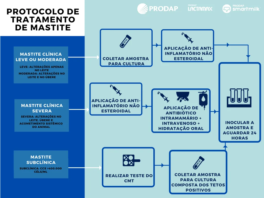 Protocolo de tratamento de mastite
