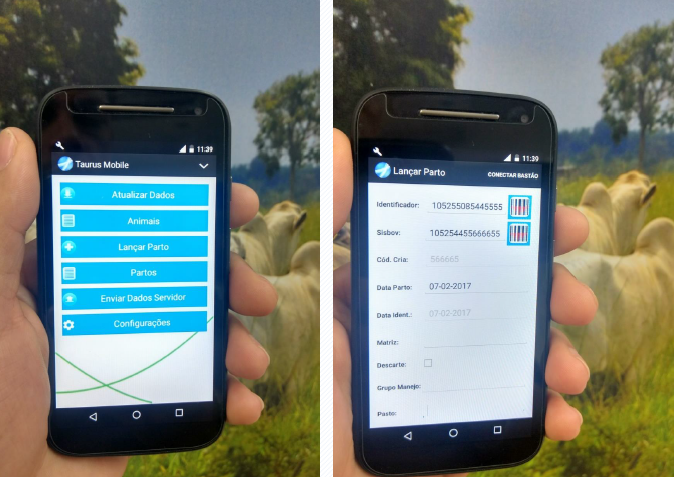software para pecuária taurus versão mobile