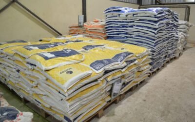 Estoque de suplementos da fazenda: 03 erros que você comete