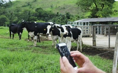 Gestão Financeira de propriedades leiteiras com o PRODAP Smartmilk