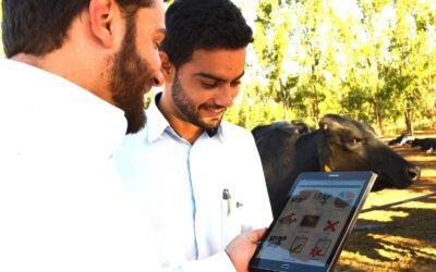 Consultores de fazendas leiteiras: Saiba como fidelizar seus clientes!