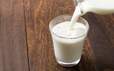 Leite A2: O que é? Como descobrir se seu rebanho produz? Todos podem tomar?