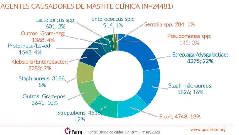 Mastite clinica