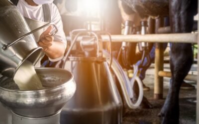 Os desafios para a produção de leite no Brasil