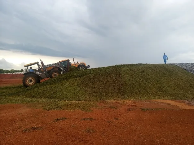 silagem em confinamento