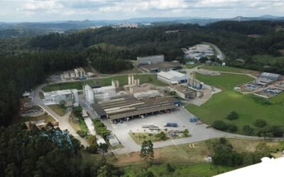 Planejamento e controle de produção em fábricas de ração