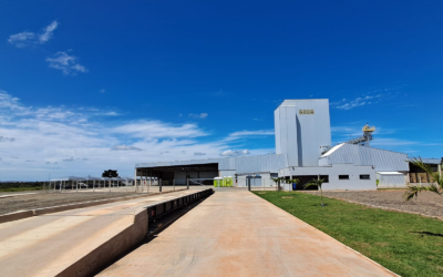 Boas práticas de fabricação na nutrição animal