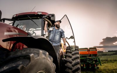 Gestão de custos na pecuária de corte: controle completo do ciclo produtivo com software especializado