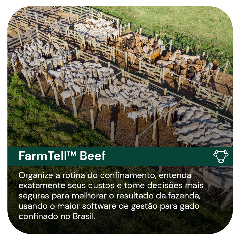 FarmTell Beef