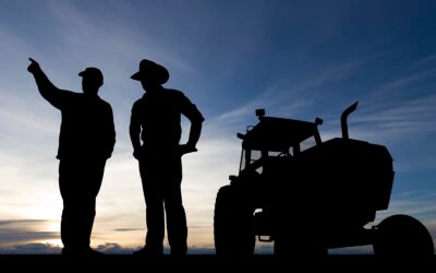 Sucessão familiar na pecuária: desafios, conflitos e como garantir a continuidade do negócio