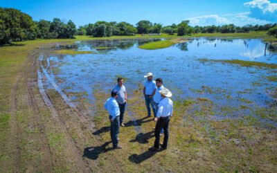 Formação de lideranças nas fazendas: como desenvolver equipes mais produtivas e engajadas 