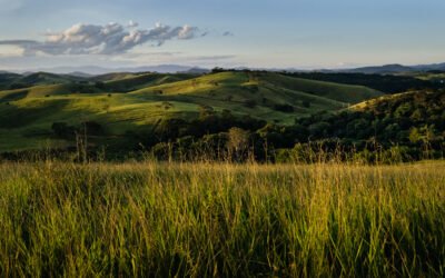 El niño em 2026: descubra as consequências do fenômeno climático na pecuária