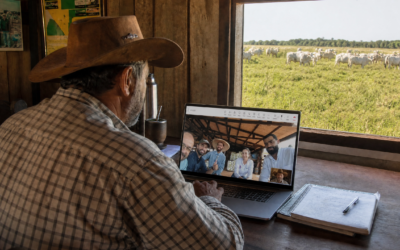 O que é FarmTell® Consultoria Online? 