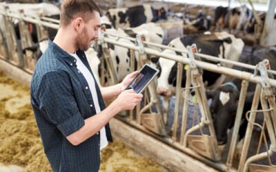 Como a IA está mudando a tomada de decisão no campo 
