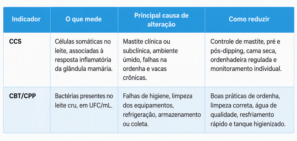Tabela mostrando diferença entre CCS e CBT