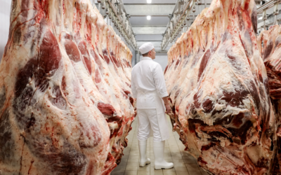 O que a avaliação de carcaça pode revelar sobre a eficiência da sua produção?