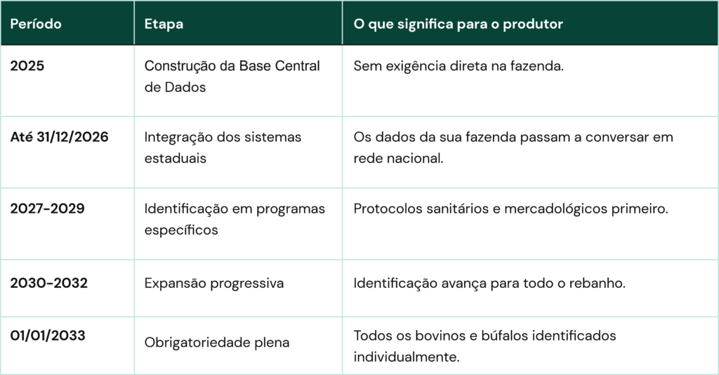 Marcos principais do PNIB